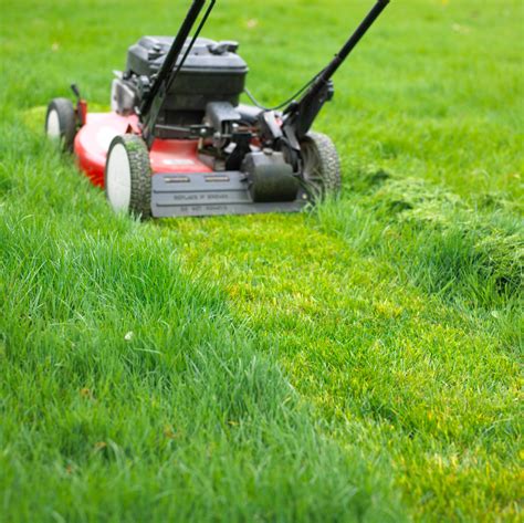 The Environmental Benefits of Using a Mascot Quiet Trimmer Mower